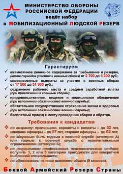 Мобилизационный Людской Резерв